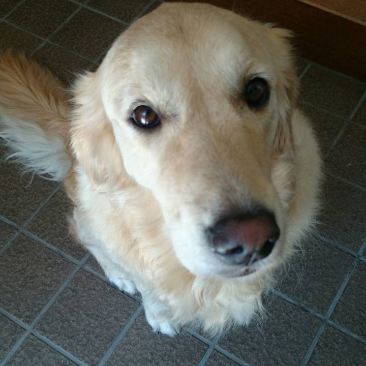 23fa6a79 8751 4354 bf7d 2de8f79300e8