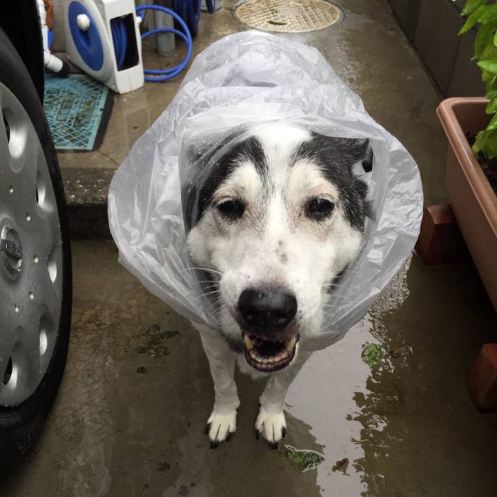 23fb2022 fa3a 4eba a0ed 9db08273c1c9