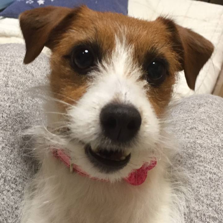 23fb896c 64ef 49bc aaef e77e9408c445