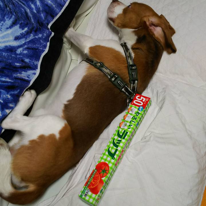 23fb952b 1c4a 4053 a829 7311f62b4ca3