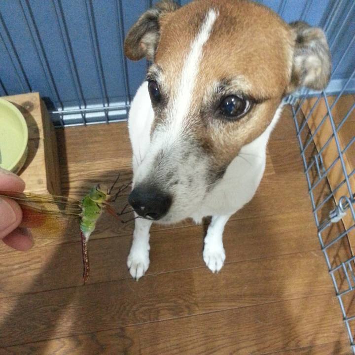 23fbd56b cc2e 4b1c 89ff adfb8bc42b04