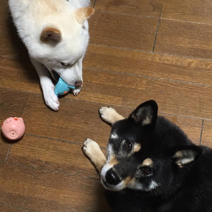 23fbdd49 4b27 4bee 939b b865692dfa93