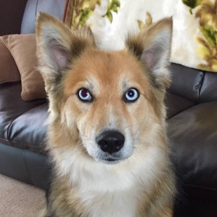 23fbf59f 94c2 4e46 8290 0cd7a62e1487