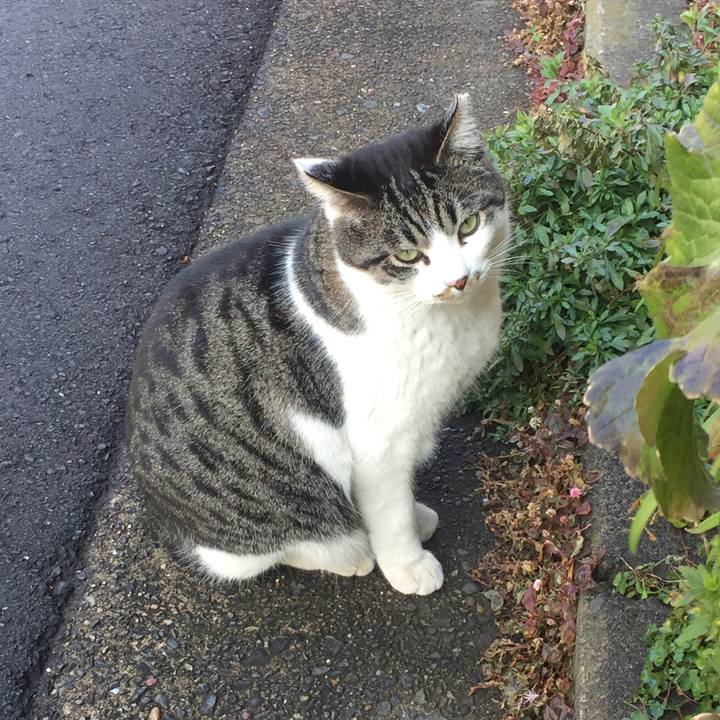 23fc36d3 dc25 4aed a888 d206dd3c1000