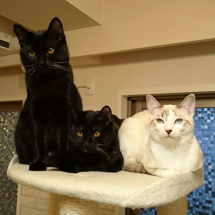 23fcacc7 9845 4867 b093 c3374d4b32b4