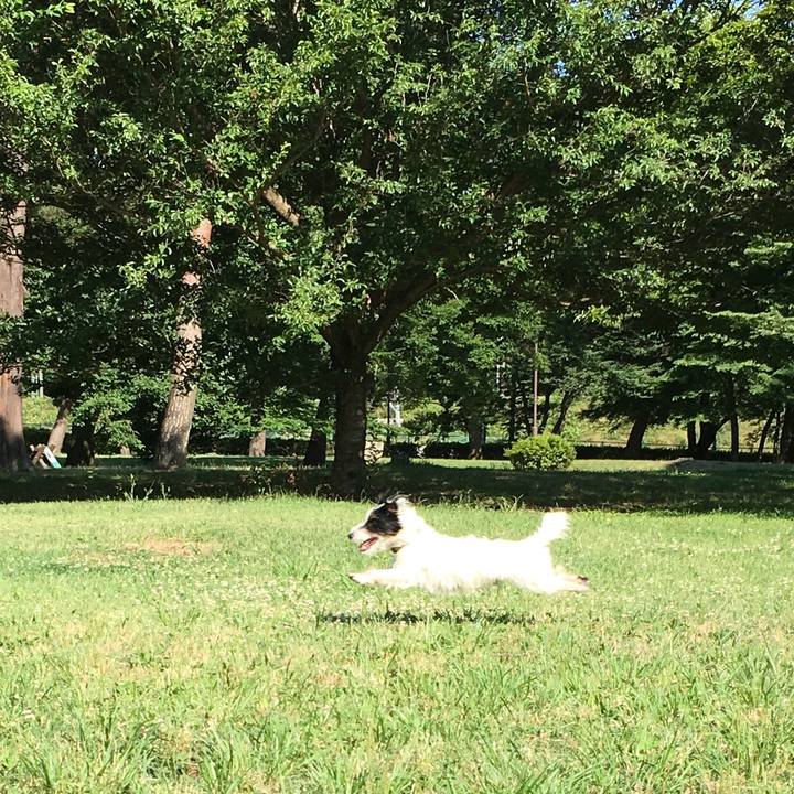 23fd06c6 c639 4ee8 b92e 2a6557d5ef28