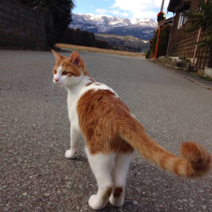 23fd94e1 f294 4fa3 b9d5 b85ce5f04d44