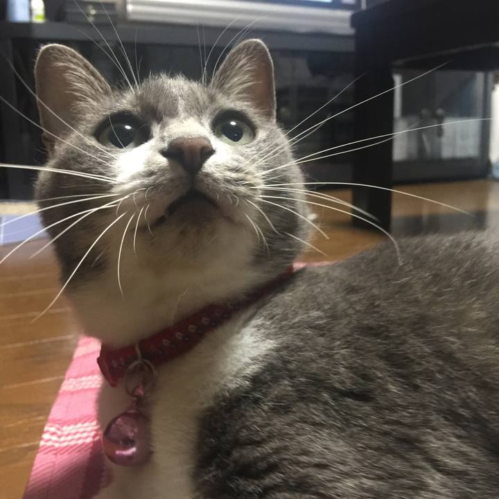 23fdaf37 ed40 497f 8ae1 aeb1c66c1a0d