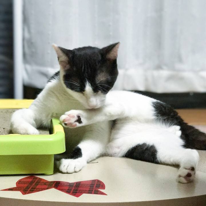 23fe45f6 fb35 421e b3e8 085dcfbc6afd