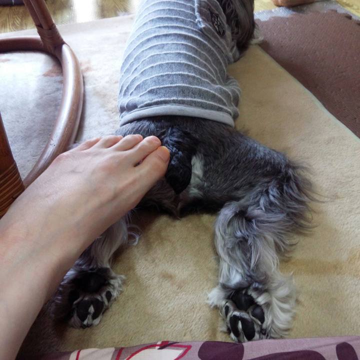 23fe7850 a644 4d9a bc58 cf0502105d92