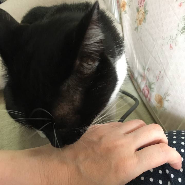 23ffe0e9 c990 4e94 b9f5 eba7d971c5e5