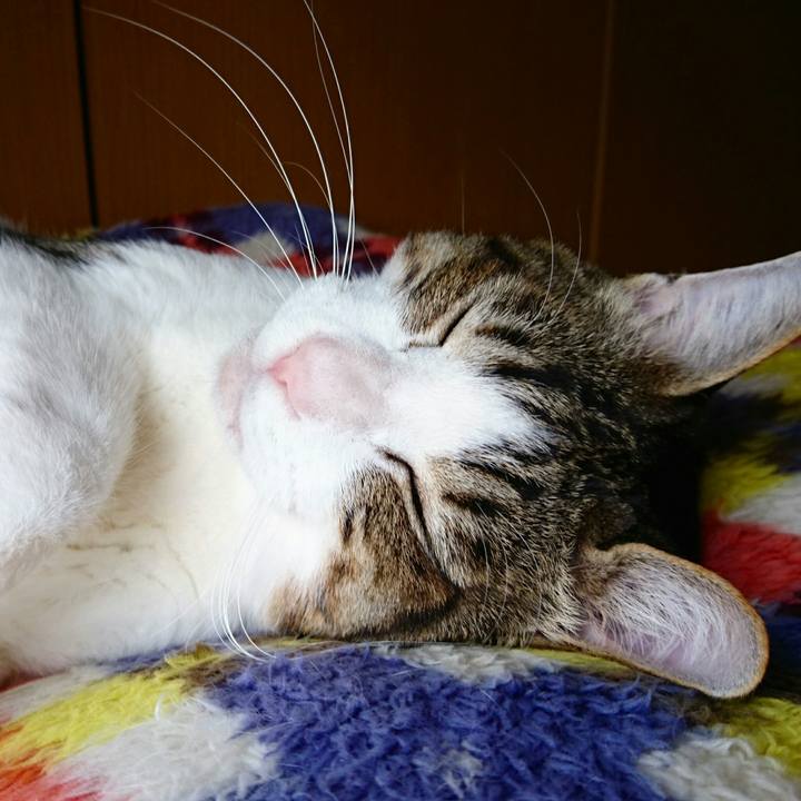 23ffe717 8d36 4bcd b96f cda12083d2b7