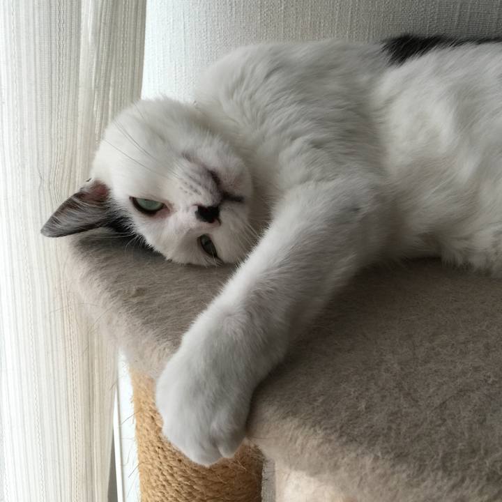 24011d87 5db2 4c63 9348 be100a4abe5d