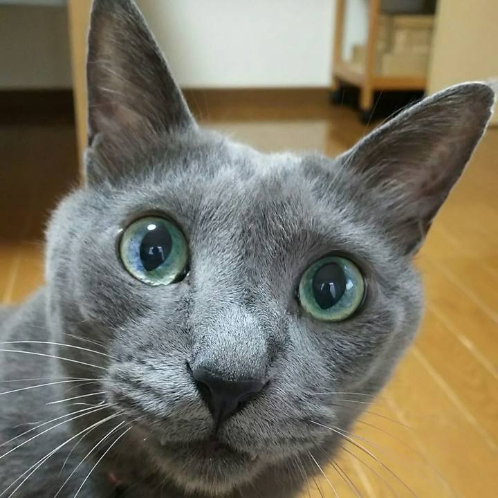 24012101 b1f0 4b5c 85fa 2de0e25214ba