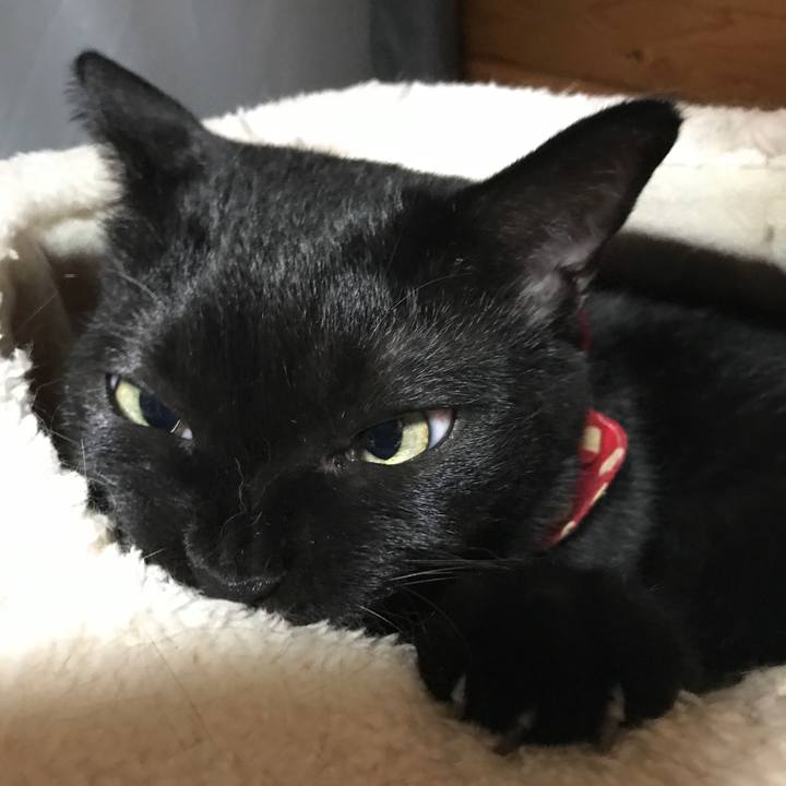 2402940d 855b 4c09 a8c0 d1581c2a58a8