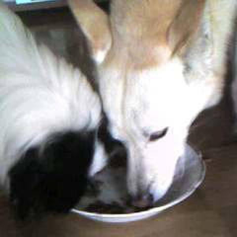 2403a5e7 5a9b 49a3 ab6c 62f42abb96ad