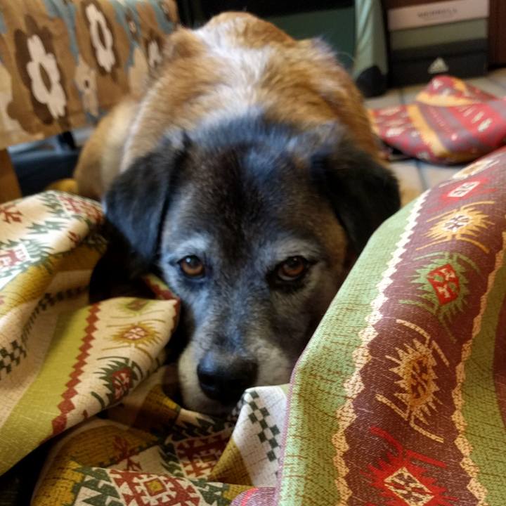 2404c10a d819 4d21 9977 24820f9a3240