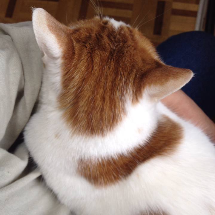 24059514 c50c 4fb6 b970 942851f00299