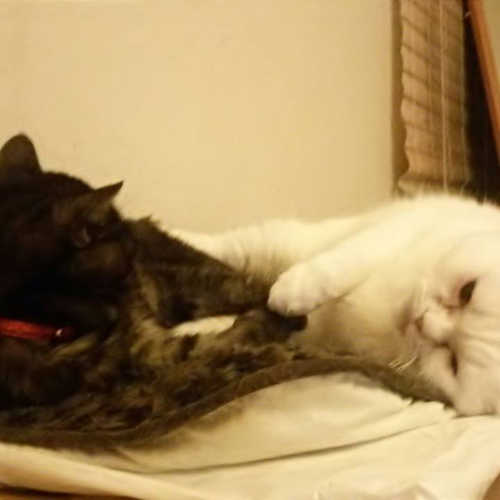 2405e5e5 80e2 4465 996e ca1bd4ce9b98