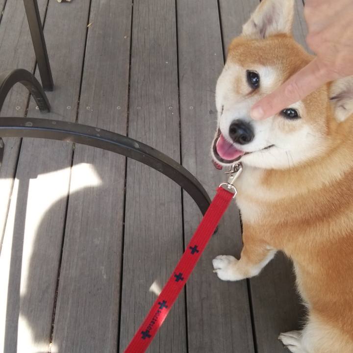 24067614 fb34 4b64 ab47 05df88586880