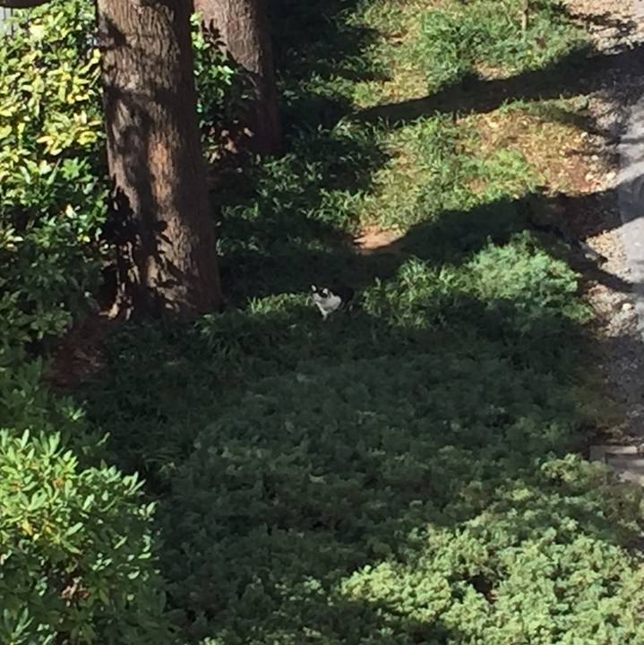 24068ec0 b347 49dd 9eae b579b256d3e5