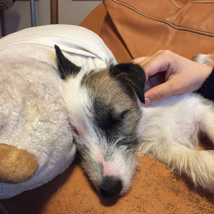 24075943 796b 495a a9e4 7d9bf84a2cbe