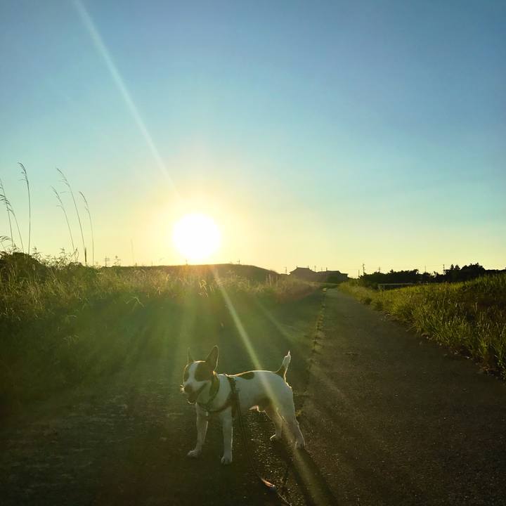 240822ae 642e 4a6d b6ca 8fbb6c9aaa43