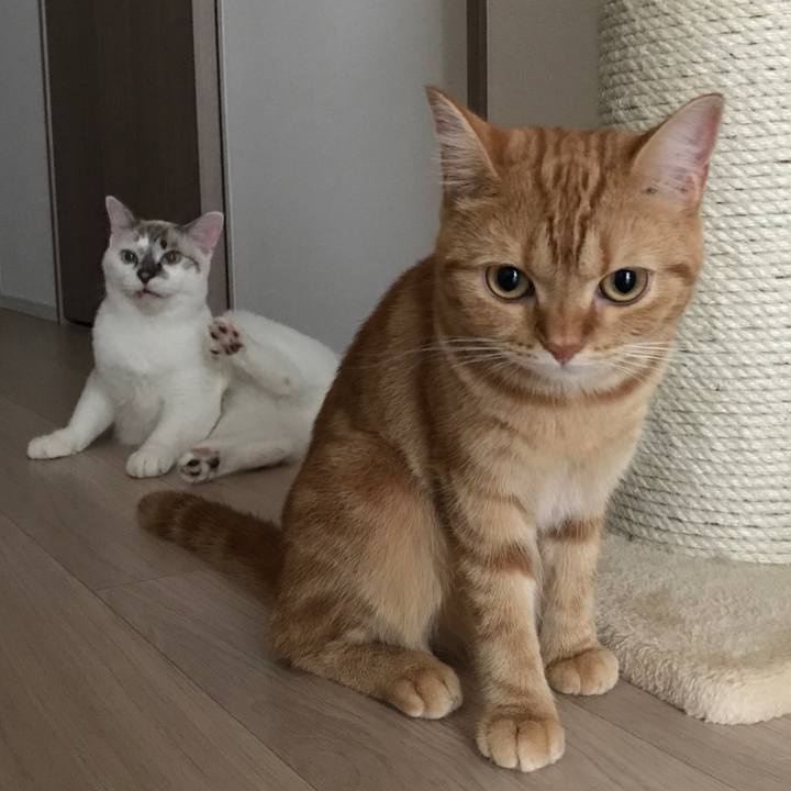 2408af47 50fd 4534 8a79 df1658e8221c