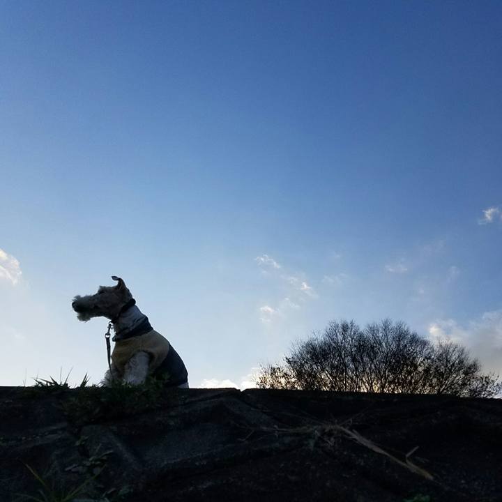 2409205b 0fa6 4dd2 8c94 8b1bdebeb14b