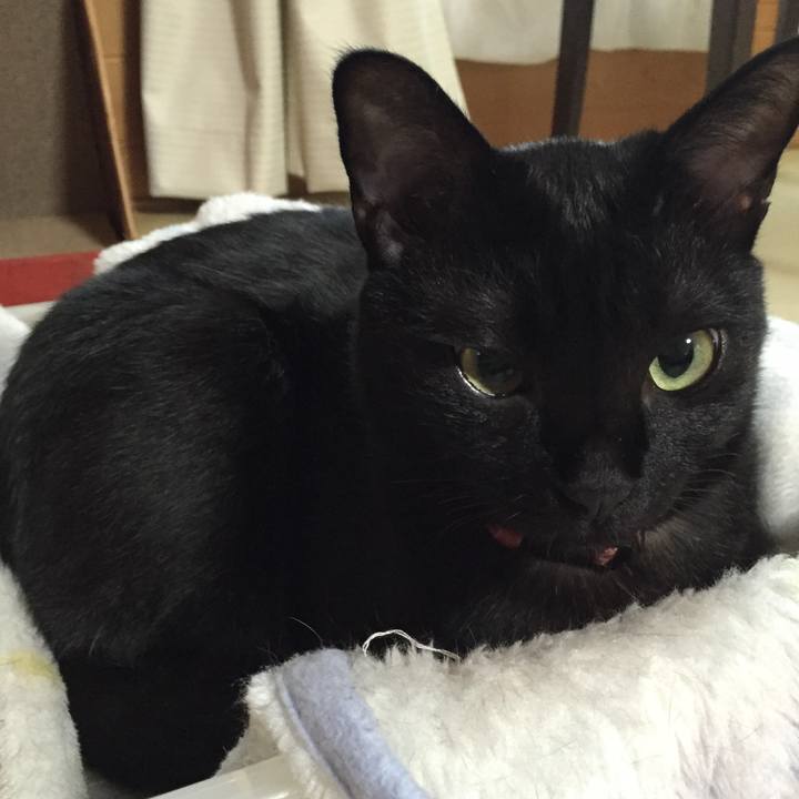 2409b621 c0d6 412c a723 83b2dfa6606d