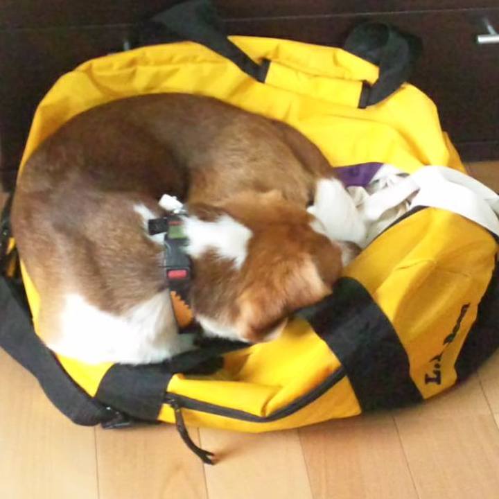 240ba005 e368 42b4 8c31 37acfed4c6ef