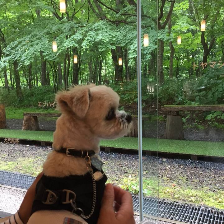 240be51c 9e8c 4dab 947a 451b43141127