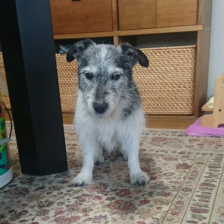 240d529f 4e54 48e5 9ea0 56807ce7f631