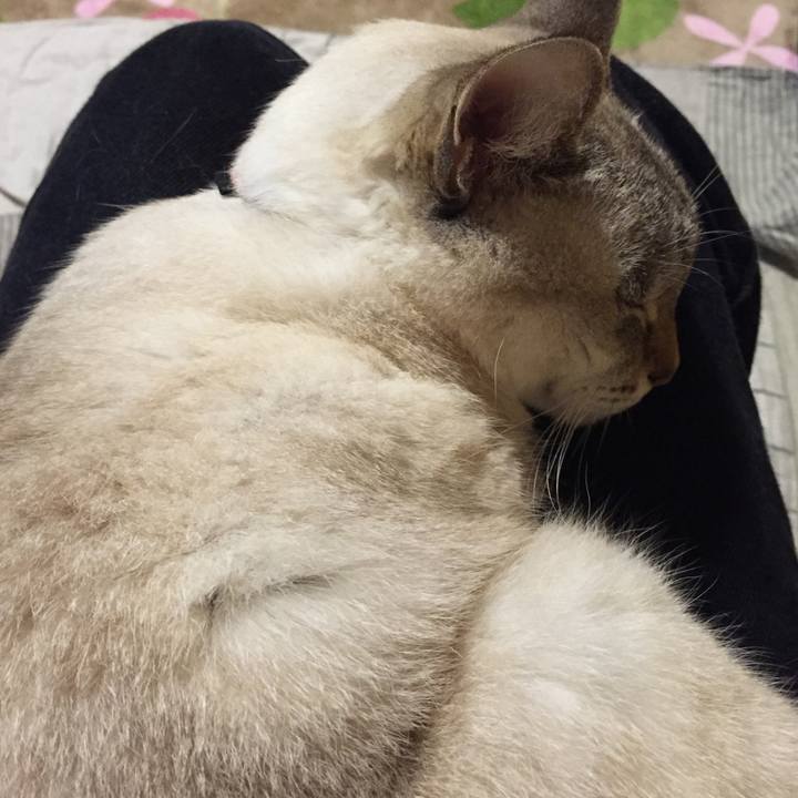 240d621e a2a5 44bf 82e5 80e802b39689