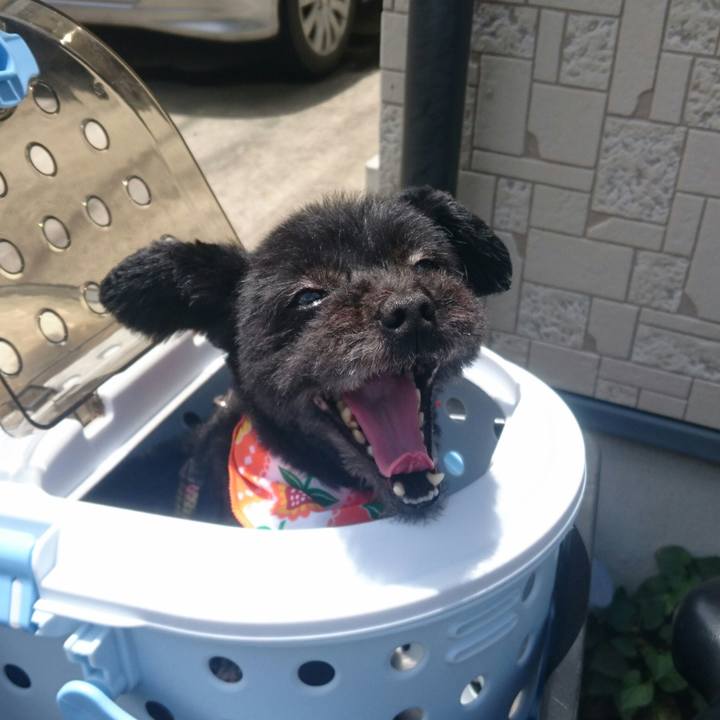 240d6423 6263 48a6 ab87 a64a8f0c3042