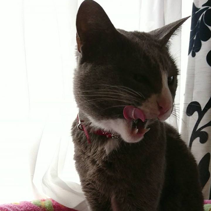 240e0a01 44c9 483c b69f 46bdb2e7aa26