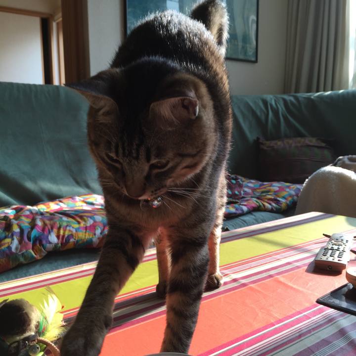 240e17e4 a8a1 46d6 aab6 45aac398a6a2