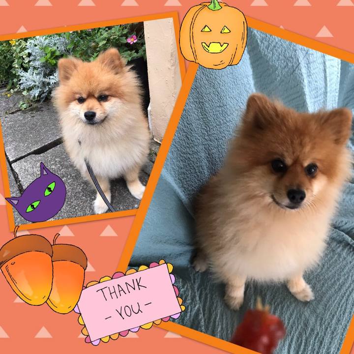 240e352f c5f8 4c0d 882c ac92a89f5fd2