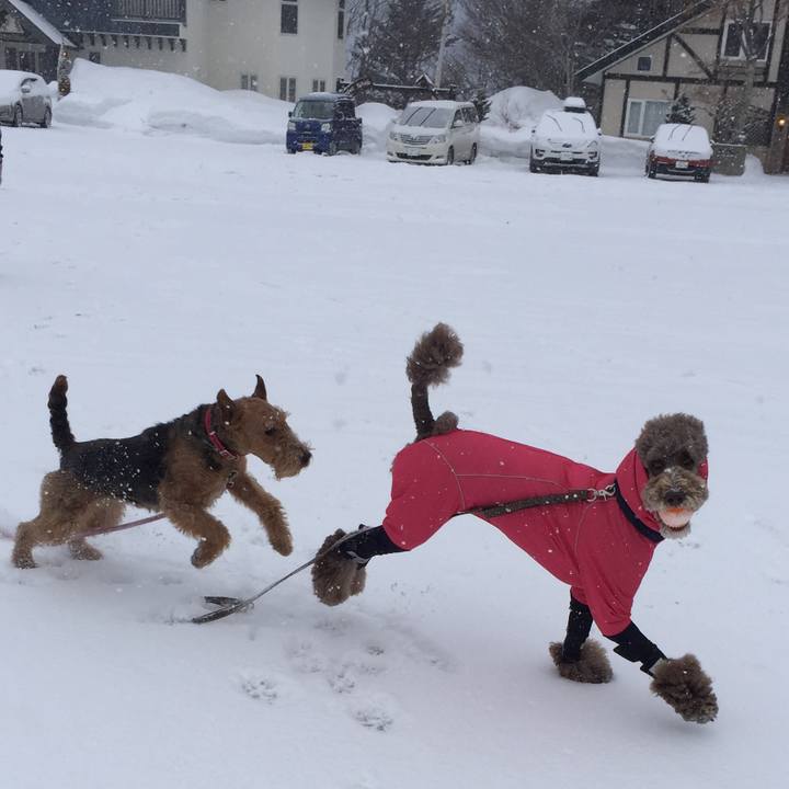 240f2296 aa0f 4df7 8dd1 7c2d7842b48d