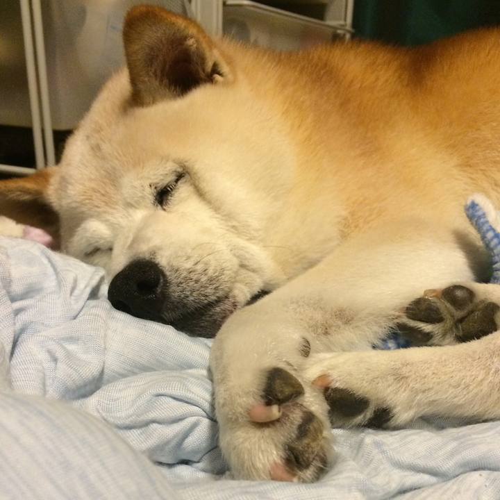 240f76ab 84cd 4f4f af7e dd834cffccfd