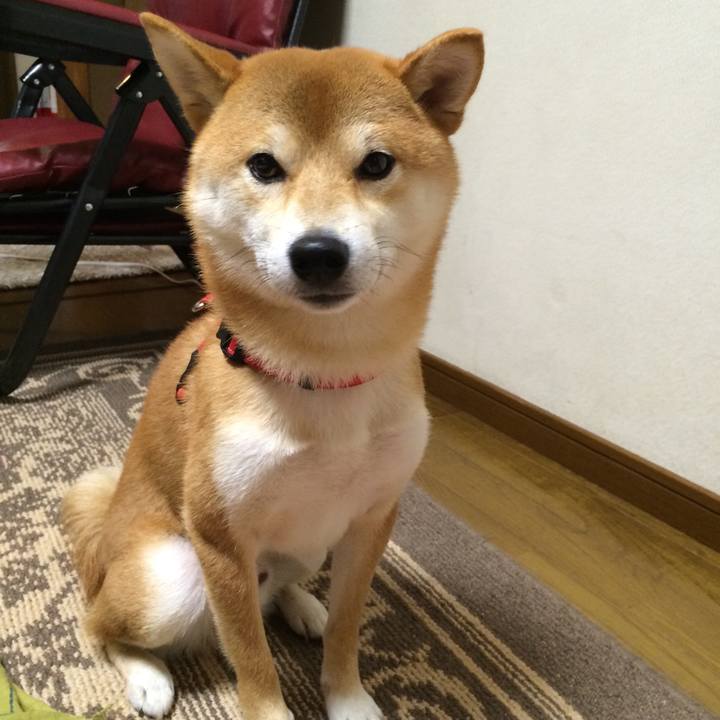 240fa6a2 a971 4673 a806 a59a154eca5c