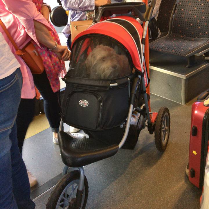 240fbb8d f3c4 4d0d ba0e b4763cc89e12