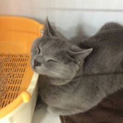 24105127 1c85 4c55 870b b2c1c51926d0