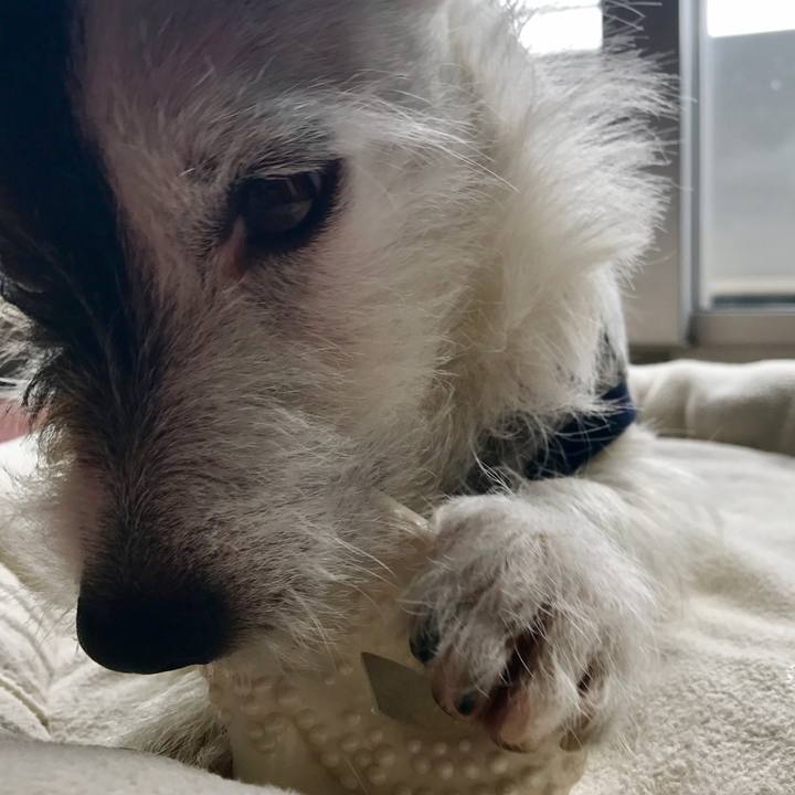 2410dab4 048b 4c13 81e4 b900260c3721