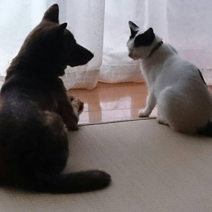 24113786 1363 40d7 9d8a e649116e2d57