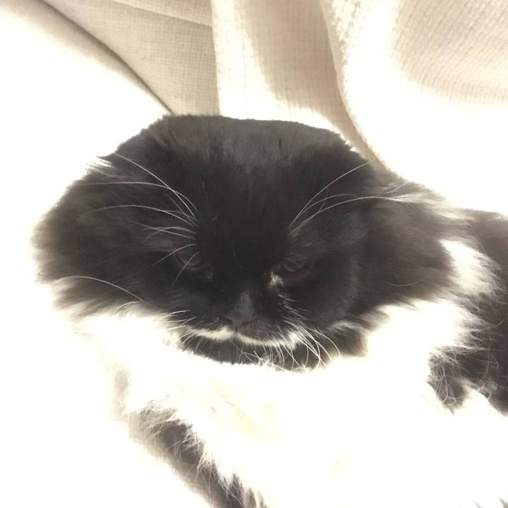 24124e0b cb4d 4717 b1bf c0b8d58fafba