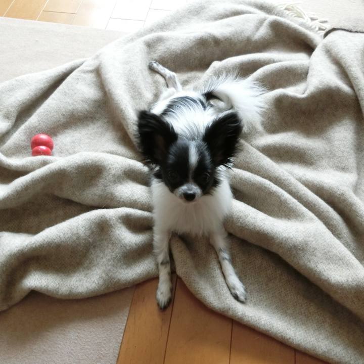 241349d9 aa3c 4e81 b28f f6bd746d323c