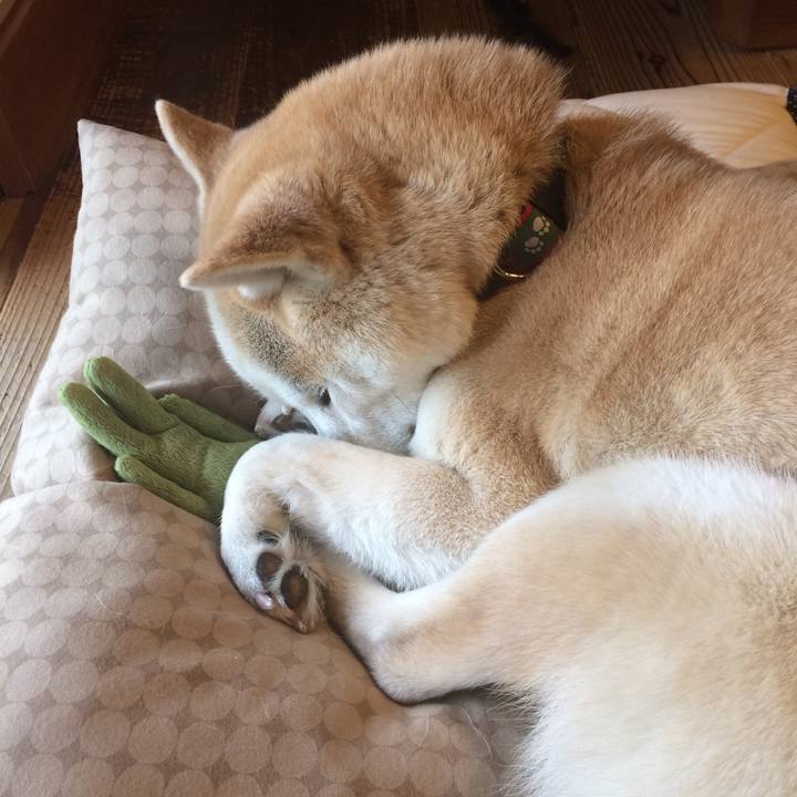 24138027 4273 4e48 b6a7 168f72a1220b