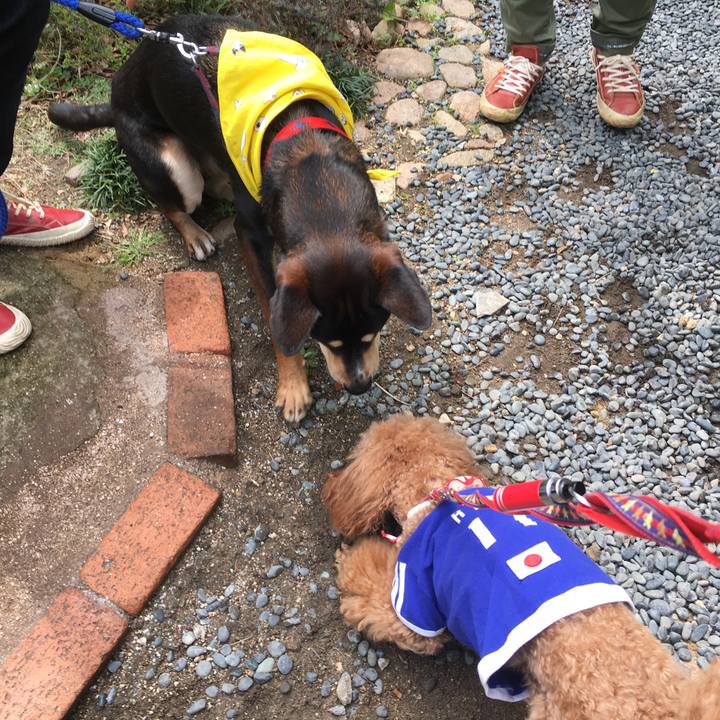 2413dea2 50e2 4ba9 ad9a d2eb9a32456f