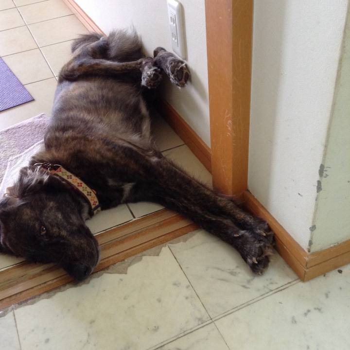 24149c7d 286b 4ba7 8d8a bf50d78640c4